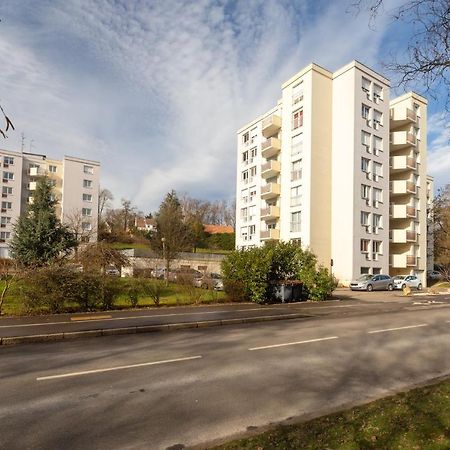 Travel Homes - Le Rebberg, Superbe Vue A Мюлуз Экстерьер фото